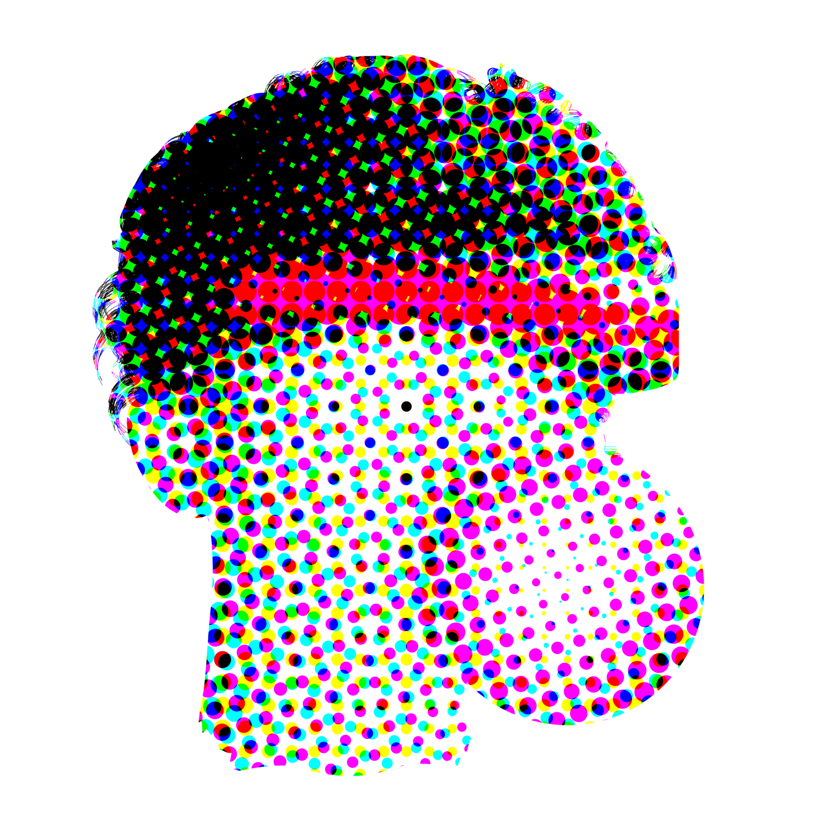 Picture of the author